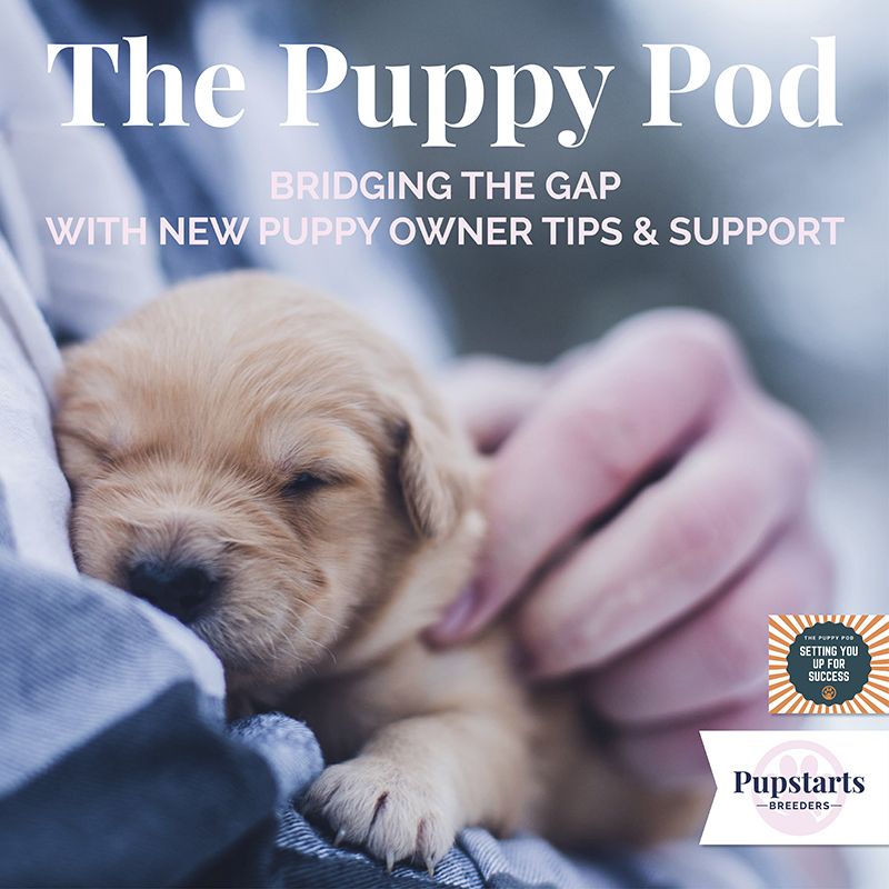 The puppy pod